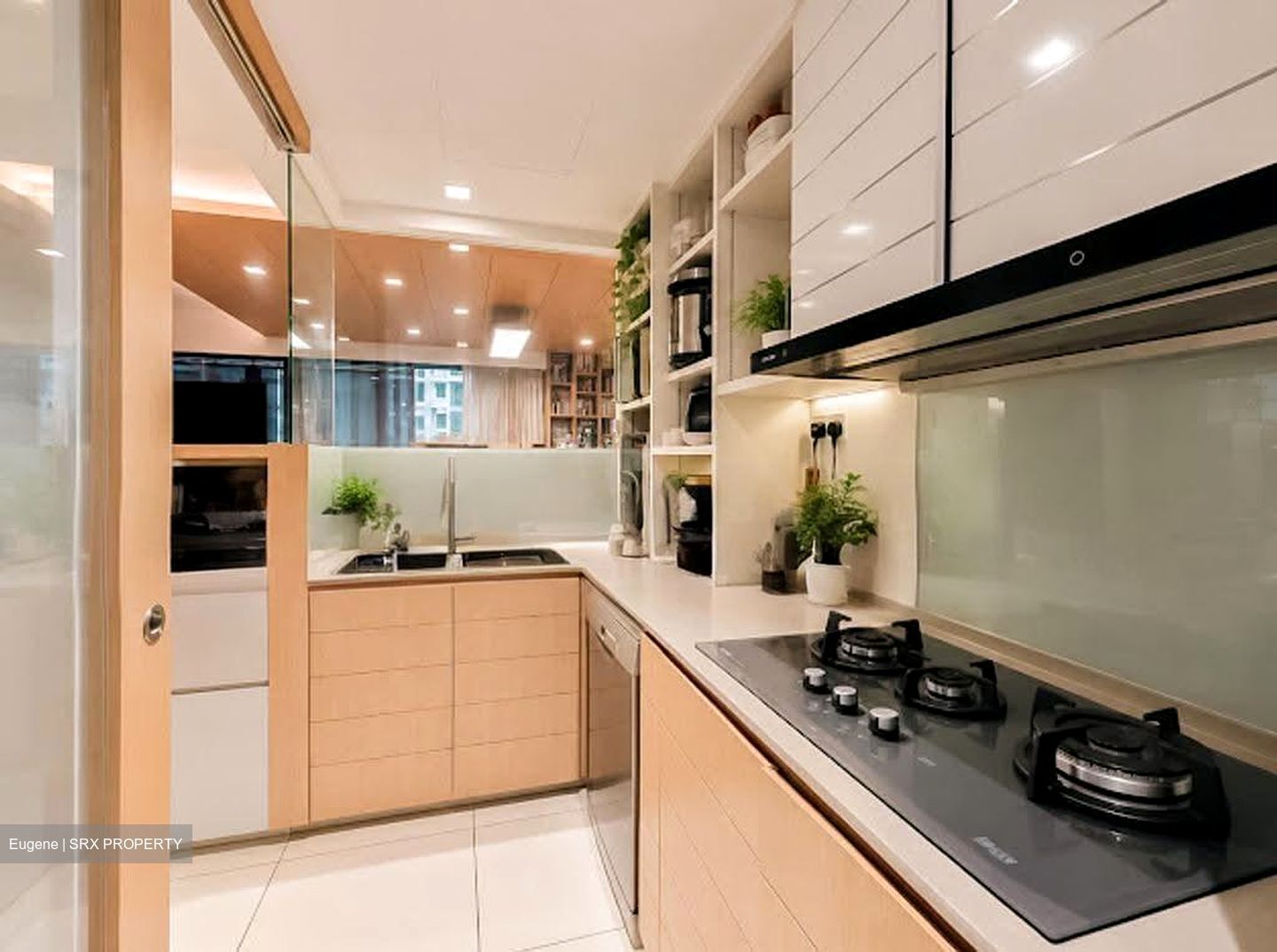 Twin Waterfalls (D19), Condominium #631590941